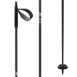 Fischer BC Offtrack Cross Country Poles 2024